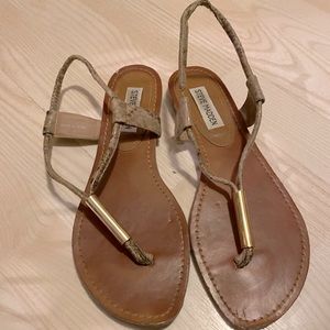 Steve Madden Snake Print Sandals